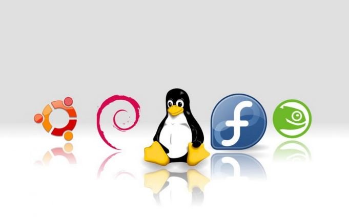 A Beginner’s Guide to Using Linux as Your Primary OS