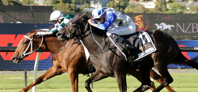 online horse betting for Kiwis